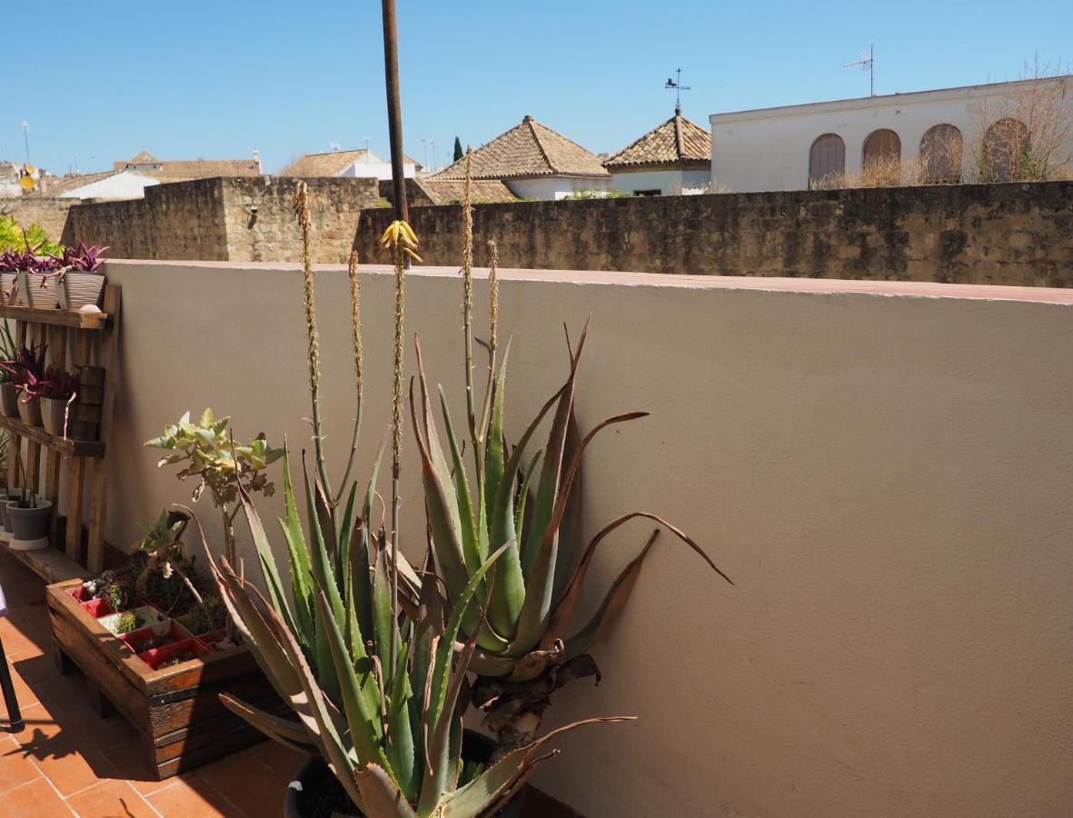 קורדובה Apartamento En Juderia La Murallita מראה חיצוני תמונה